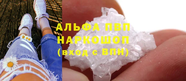 спиды Надым