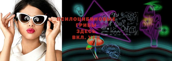 спиды Надым