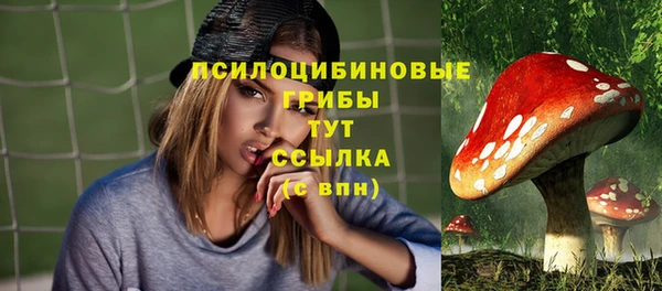 спиды Надым