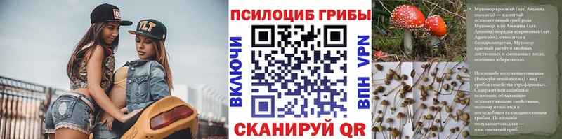 Псилоцибиновые грибы ЛСД  Никольск 